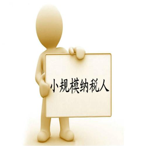 小规模登记成一般人将在网上办理，截止日期是2018.11.20前