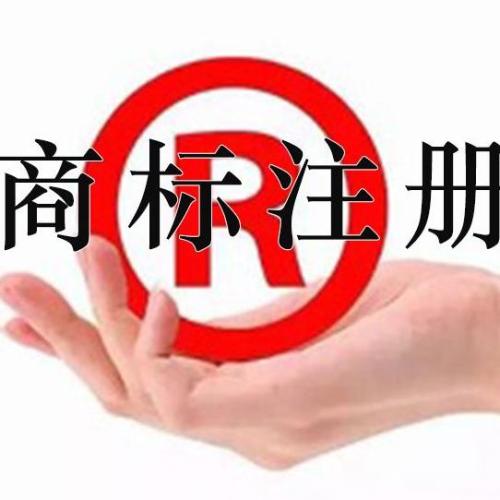图形商标有那些使用特点和表现形式？