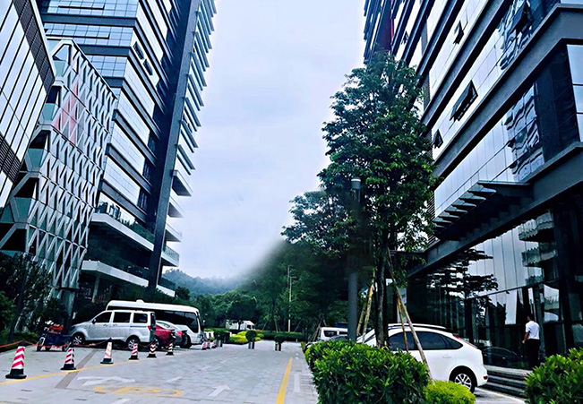 深圳博凌管理技术有限公司